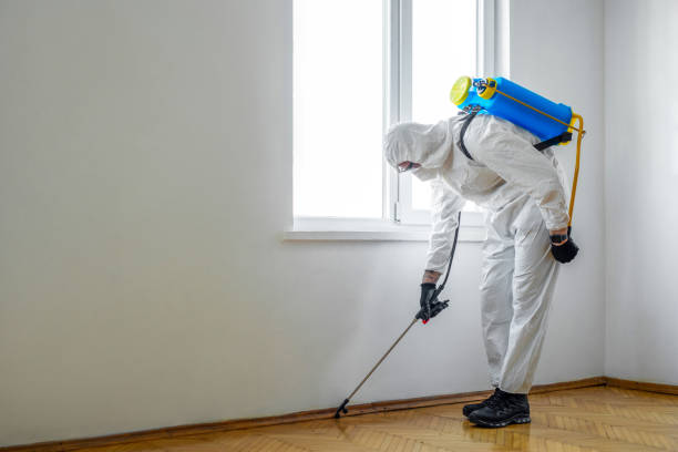 Best Wasp Removal Services  in Atkinson, IL