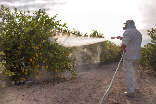 Pest Prevention Services in Atkinson, IL