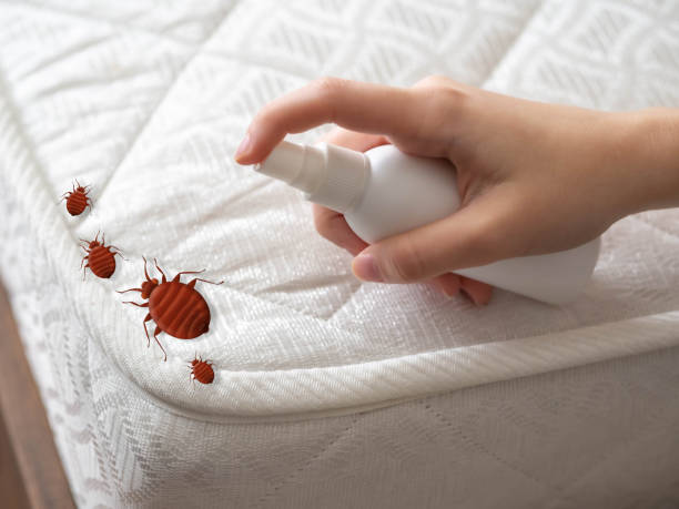 Best Flea Control Services  in Atkinson, IL