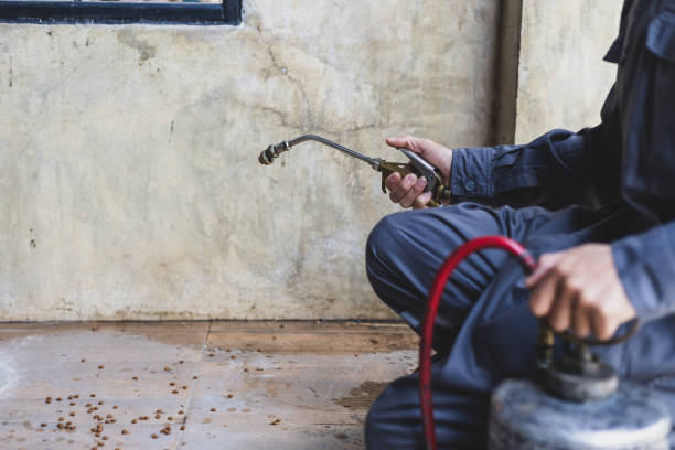 Best Exterminator Services  in Atkinson, IL